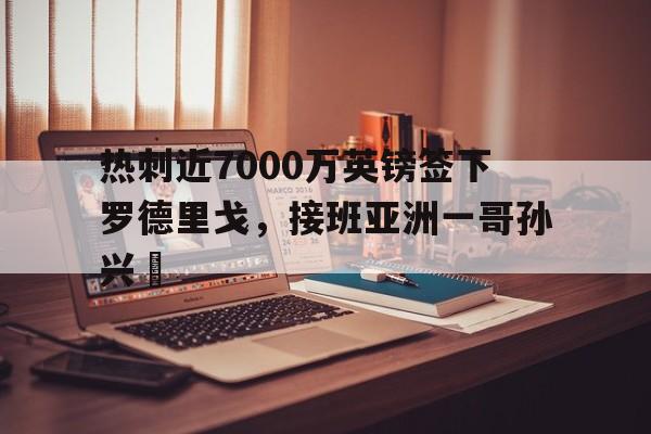 MK体育官方入口-热刺近7000万英镑签下罗德里戈，接班亚洲一哥孙兴慜的简单介绍